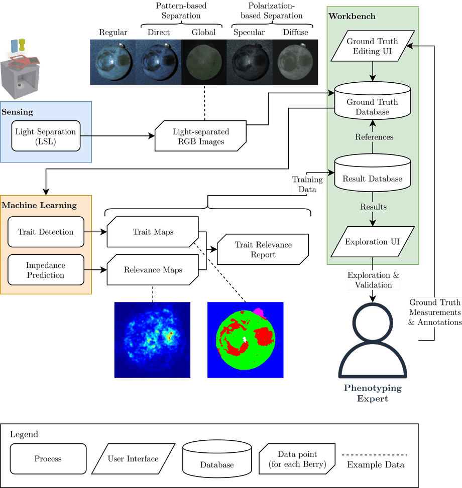 Overall workflow of the phenotyping processes and the data management workbench